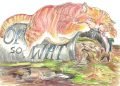 Sewage Watch - Fat cat - © Dormouse